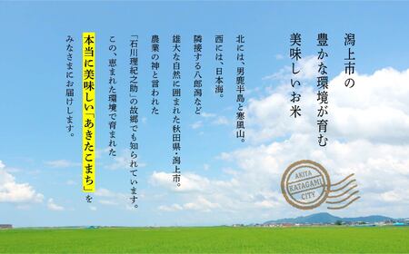 【数量・期間限定 5営業日以内発送】 令和6年産 あきたこまち 10kg 精米 直送 米 お米 こめ おこめ コメ コスパ ブランド米 産地直送 贈り物 プレゼント おいしい お米 秋田こまち 秋田県
