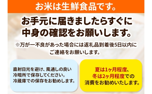米 あきたこまち 令和7年産 秋田県産 白米 10kg 5kg×2袋 [白神山地 秋田県産 あきたこまち 白米]