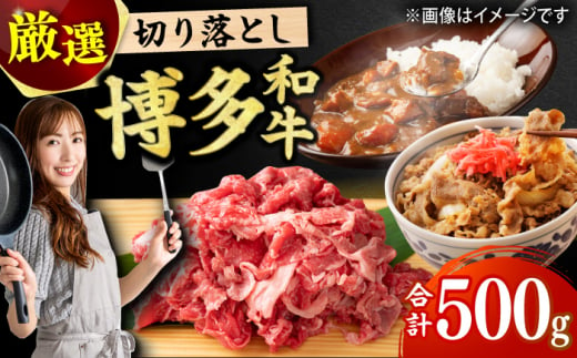 【和牛の旨味を堪能！】博多和牛 切り落とし 500g 肉 にく ニク お肉 牛肉 博多和牛 黒毛和牛 赤身 薄切り 切り落とし 肩 バラ 国産 カレー 牛丼 肉じゃが 福岡 化粧箱入り 冷凍 広川町/株式会社MEAT PLUS [AFBO073]