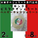 【ふるさと納税】ブロンテ産ピスタチオ&ベルギーチョコジェラート8個セット【配送不可地域：離島】【1460820】