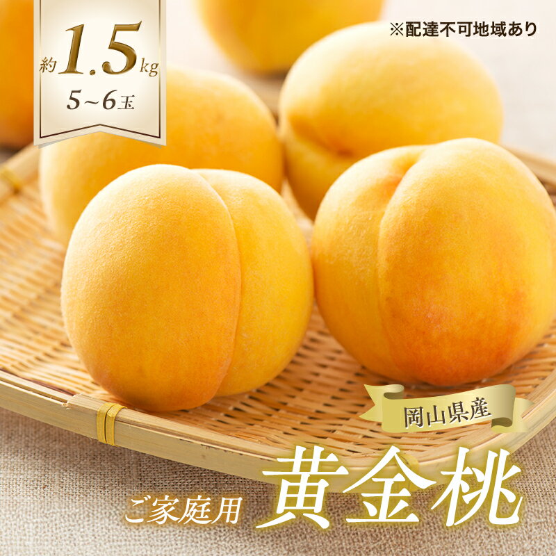 【ふるさと納税】桃 2026年 先行予約 ご家庭用 黄金桃 5～6玉 合計約1.5kg もも モモ 岡山県産 国産 フルーツ 果物 ギフト　お届け：2026年8月下旬～2026年9月上旬