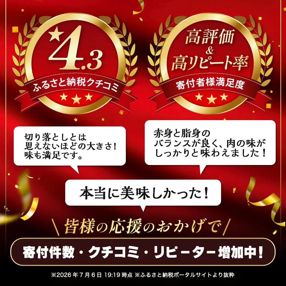 旨い！旨い！佐賀牛肩・モモ切り落とし 500g｜A5 A4等級 赤身 霜降り 黒毛和牛 大容量 万能肉 焼肉 すき焼き カレー用 牛丼 ストック おうち焼肉 ヘルシー ご褒美 高級肉 国産 和牛 ギフ