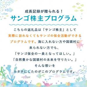 成長記録が贈られる!国頭村の「サンゴ株主」プログラム5株【1581395】