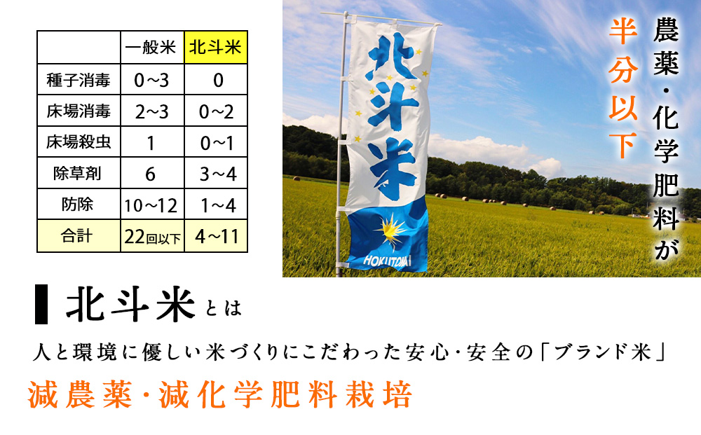 【新米発送・定期便 6カ月】北斗米ななつぼし10kg お米 こめ 精米 白米 ごはん ブランド米 国産米 北海道産 東神楽町