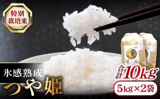 氷感熟成「つや姫」10kg【特別栽培米 つや姫 10kg 島根県産 大田市産 米 氷感熟成 石見銀山氷感つや姫 減農薬 減化学肥料】