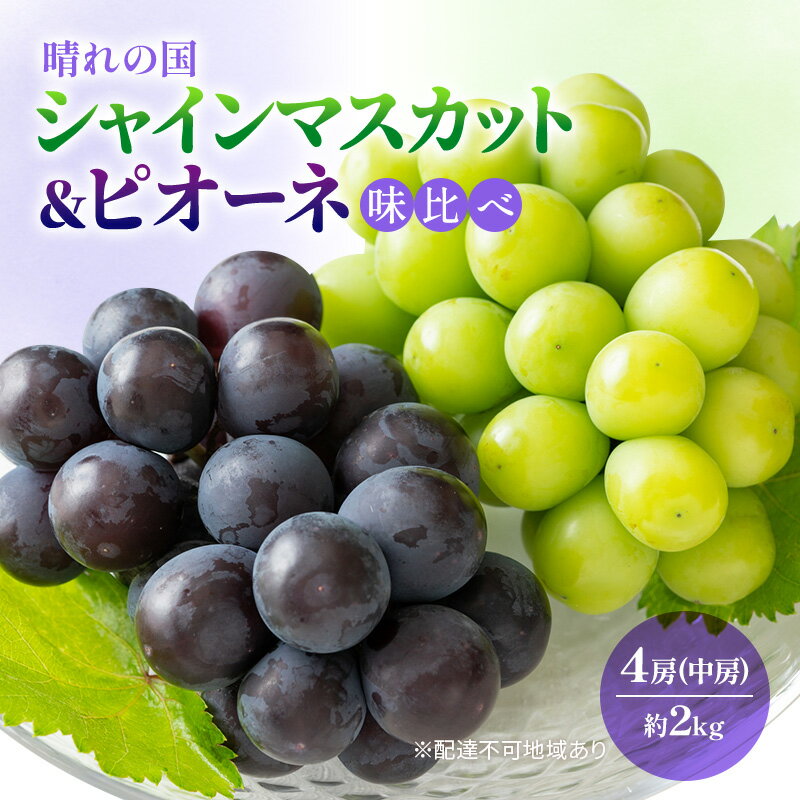 【ふるさと納税】早期受付 ぶどう 晴れの国 シャインマスカット&ピオーネ 味比べ 4房（中房）化粧箱入り 岡山県 高梁市 ブドウ 葡萄 果物 フルーツ 　お届け：2025年10月1日～2025年10月10日