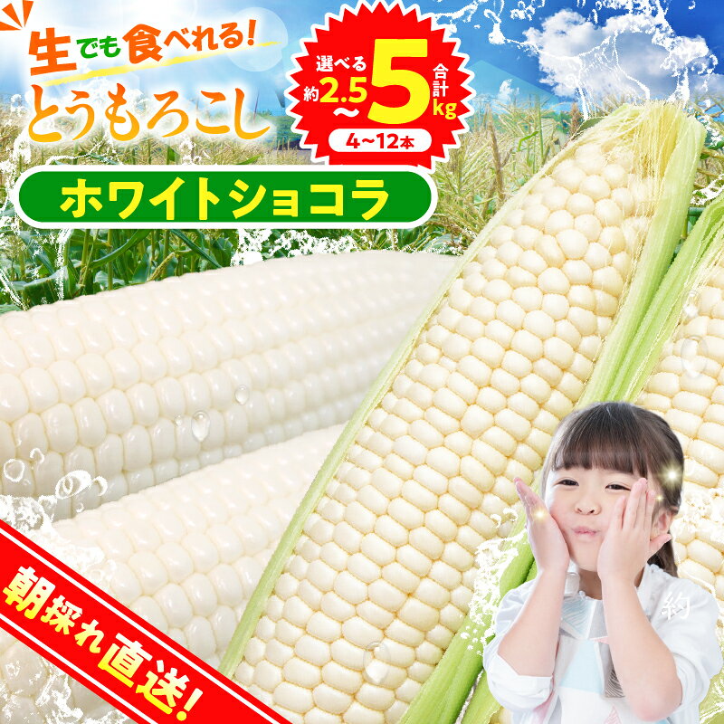 【ふるさと納税】 ★2027年先行予約★ とうもろこし コーン 朝採り 人気 トウモロコシ ホワイトショコラ 約2.5kg 約5kg とうきび 野菜 お取り寄せ 産地直送 農家直送 直送 新鮮 ギフト プレゼント 贈り物 贈答 自宅用 食用 送料無料 ※沖縄県、離島不可 山梨県 忍野村