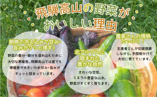 定期便 3ヶ月 飛騨の野菜 6～7点 野菜セット 3回 お届け 飛騨高山産 野菜  秋野菜 おまかせ お取り寄せ  産地直送 飛騨産 夏 秋 ふるさと納税定期便    GN100