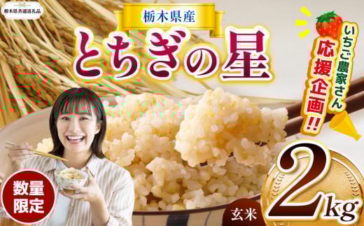 訳あり【令和7年度新米】【栃木県共通返礼品】【数量限定】令和7年度新米 栃木県産とちぎの星 2kg | とちぎの星 数量限定 玄米 米 ごはん  玄米密閉パック ふるさと納税 那珂川町 栃木県