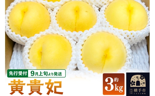 【先行受付】9月上旬より発送 黄貴妃 約3kg モモ もも 黄色桃