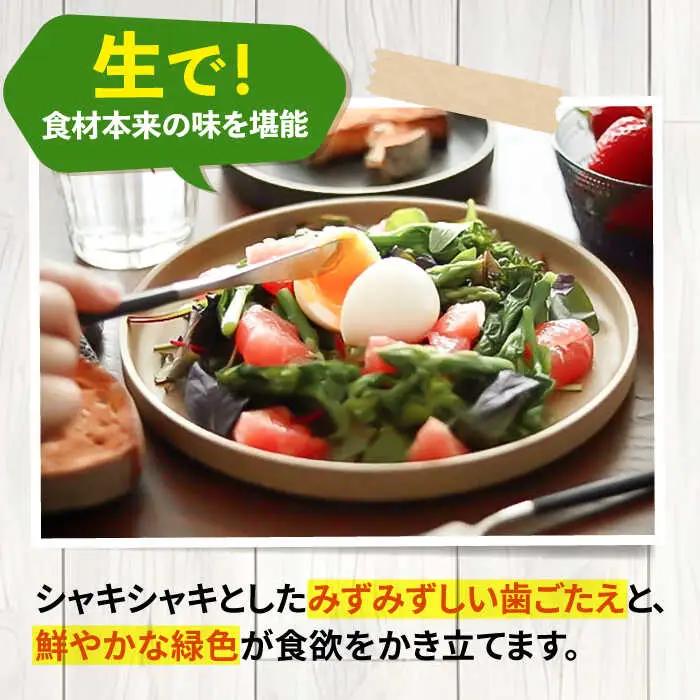 アスパラガス 1kg アスパラ 野菜 JBO004