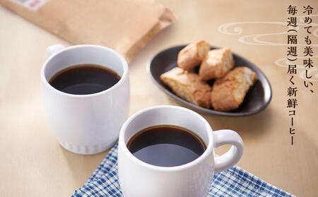 【定期便 全3回】【豆】屋久島の水で研いだ（焙煎機を使用した）コーヒー（1回分150g）