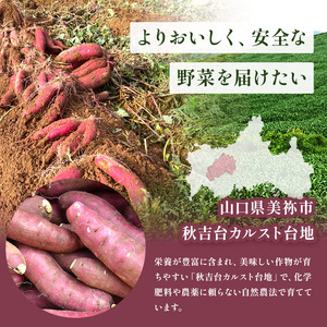 甘くておいしい！べにはるか 1kg 先行予約 ＜ 2025年9月中旬 ～ 12月 の期間より順次発送予定 ＞｜ さつまいも サツマイモ 芋 いも 野菜 紅はるか べにはるか 1kg 5kg 10kg