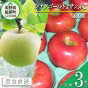 【ふるさと納税】 りんご 旬の2品種 ( シナノゴールド サンふじ ) 3kg 家庭用 ヤマウラ農園 沖縄へは配送不可 〔 果物 フルーツ 林檎 長野 予約 農家直送 3キロ 13000円 〕【令和6年度収穫分】 発送：2024年11月下旬～