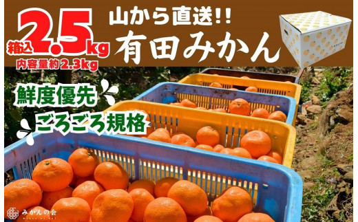 
みかん 山から直送 箱込 2.5kg ( 内容量約 2.3kg ) 鮮度優先ごろごろ規格 和歌山県産 産地直送 家庭用【みかんの会】
