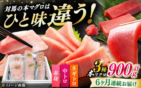 【全6回定期便】 対馬産 本マグロ 3種 計900g（赤身/中トロ/ネギトロ）[WAH041] マグロ まぐろ トロ