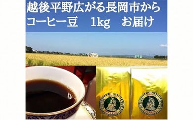 47-17Aコーヒー豆（中挽き）１ｋｇ　２種セット