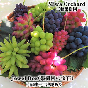 ぶどう 先行予約 ジュエルボックス 葡萄 4～5品種 詰合せ 約2kg ブドウ 葡萄 ぶどう