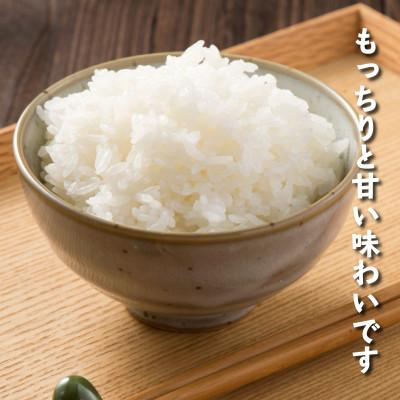 ふるさと納税 南魚沼市 【発送月固定定期便】南魚沼産コシヒカリ 白米5kg【栽培期間中農薬を減らして作ったお米】全6回 |  | 03