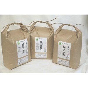 【令和6年産】能登のコシヒカリ　飯川のお米　9kg(玄米3kg×3袋)【1086154】