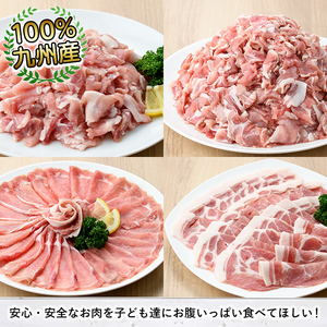 豚肉ウデモモ切り落とし(計3kg・1パック250g) 小分け 国産 豚肉 豚小間 真空パック 家庭用 豚こま 定期便 スライス 冷凍配送 個包装 切り落し 切落し すき焼き しゃぶしゃぶ セット 詰め