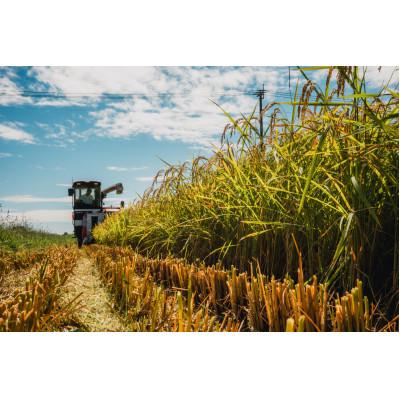 ふるさと納税 筑前町 【新米】令和7年産 特別栽培米【無洗米】計9kg(3kg×3袋)精米したてを農家直送でお届け! |  | 02