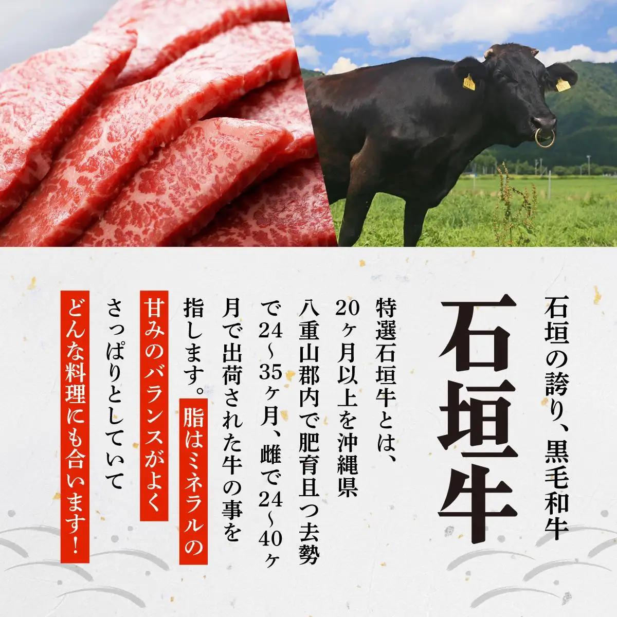 上カルビ ヒレステーキ 特選しゃぶしゃぶ 焼肉タレ100ml×1本 定期便3回 計1.1kg