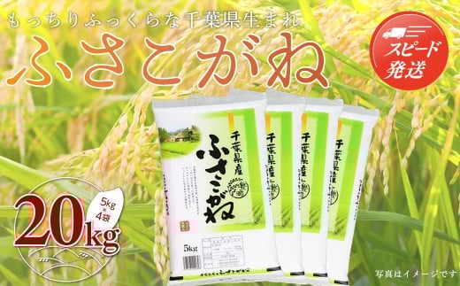 【最短2～7営業日出荷】令和7年産 千葉県産「ふさこがね」20kg（5kg×4袋） お米 20kg 千葉県産 大網白里市 ふさこがね 米 精米 こめ 送料無料 A005
