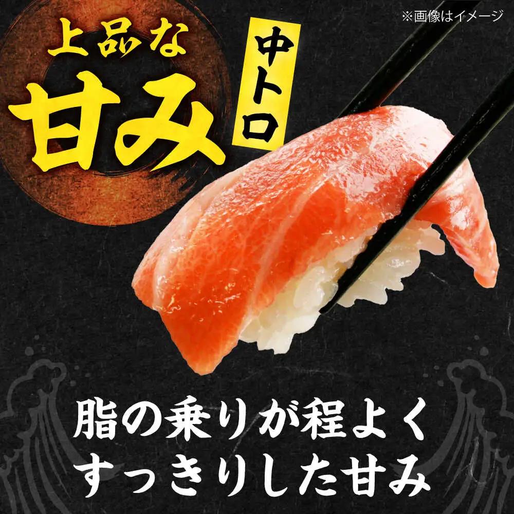 【全6回定期便】たね熟天然本まぐろ中トロ(320g)[AOCE032]マグロ