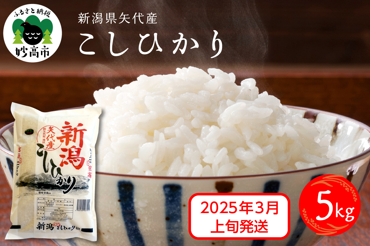 【2025年3月上旬発送】令和6年産 新潟県矢代産コシヒカリ5kg