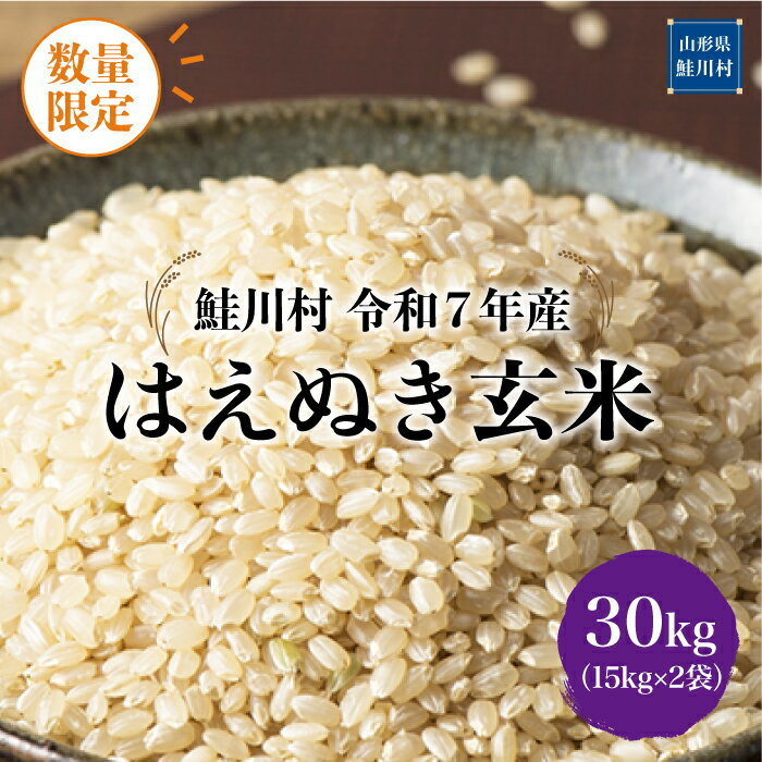 【ふるさと納税】数量限定！＜令和7年産米＞ 鮭川村 はえぬき 【玄米】30kg （15kg×2袋）＜配送時期選べます＞