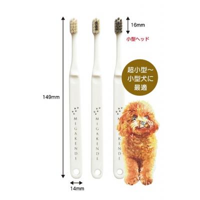 ふるさと納税 八尾市 <柔らかい天然毛歯ブラシ>ミガケンデ 3本セット(A159) |  | 02