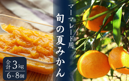 マーマレード用 夏みかんセット　【 柑橘 夏みかん ジャム 】