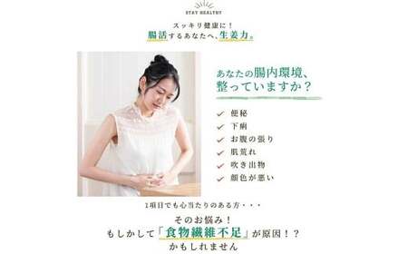 Craft Ginger Fiber （クラフト ジンジャー ファイバー） 25g×2袋 計50g ／ 生姜 しょうが 野菜 ジンジャー 薬味 高知県 香美市 常温