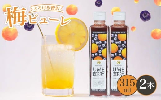 無添加 梅ベリーピューレ UMEBERRY 2本セット 315ml×2本 5倍希釈 フルーツ 果物 梅 うめ 完熟梅 ブルーベリー ジュース シロップ 贈り物 割材 炭酸割 お酒割 焼酎 ヨーグルト 牛乳 カクテル 京都府 京丹波 京都