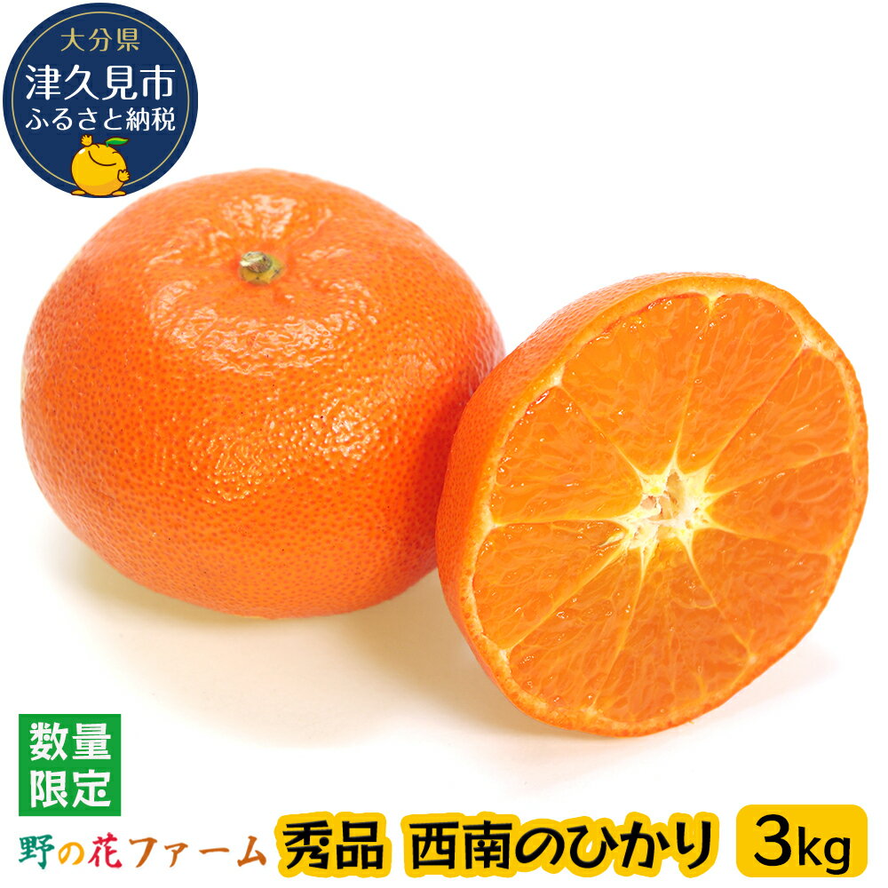 【ふるさと納税】【先行予約】野の花ファーム 秀品 西南のひかり 3kg みかん ミカン オレンジ 柑橘類 大分県産 九州産 津久見市 国産 送料無料