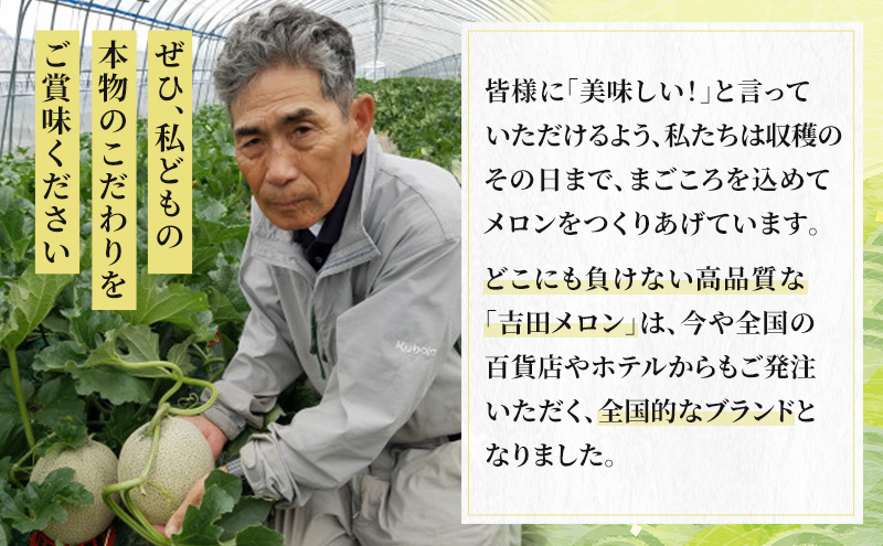 【2026年7月下旬より発送】北海道 富良野 メロン 赤肉 約2.1kg×1玉 (吉田農園) メロン フルーツ 果物 新鮮 甘い 贈り物 ギフト 道産 ジューシー おやつ ふらの ブランド 夏