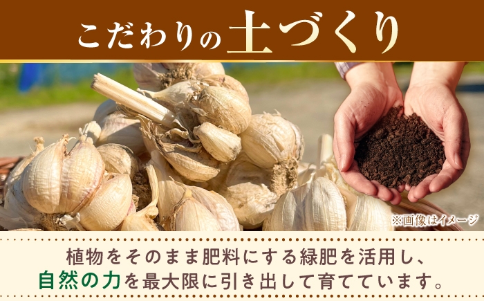 にんにく 高知県産 乾燥 ガーリック 薬味 お取り寄せ 訳あり 先行予約