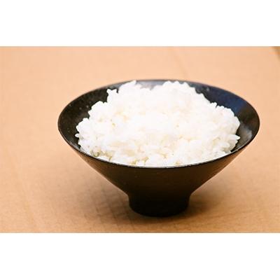 ふるさと納税 君津市 【新品種】千葉・粒すけ　10kg(大つぶ) |  | 01