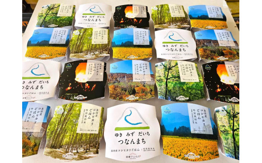 魚沼産コシヒカリ 苗場プリンセス 農薬・化学肥料5割減特別栽培米 ごはんパック(20パック入り)