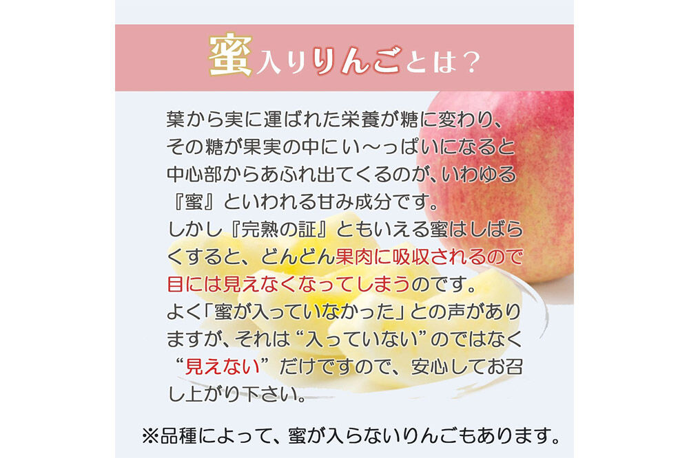 【26年10月中旬〜発送】りんご 弘前ふじ【贈答用】約5kg 内のし付き 青森県 弘前市 [先行予約 アップル おいしい ふじ りんご 果実 果物 赤色 津軽 糖度 美味 林檎]