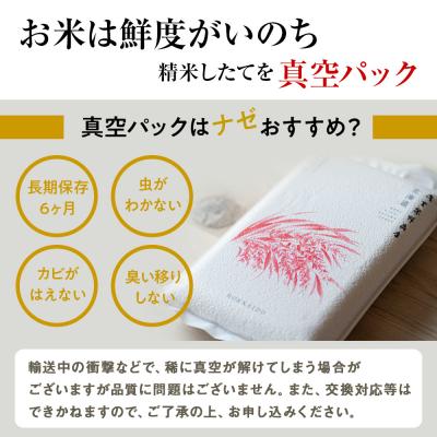 ふるさと納税 千歳市 【定期便3回・中旬発送】北海道産ななつぼし 5kg(真空パック5kg×1袋) |  | 01