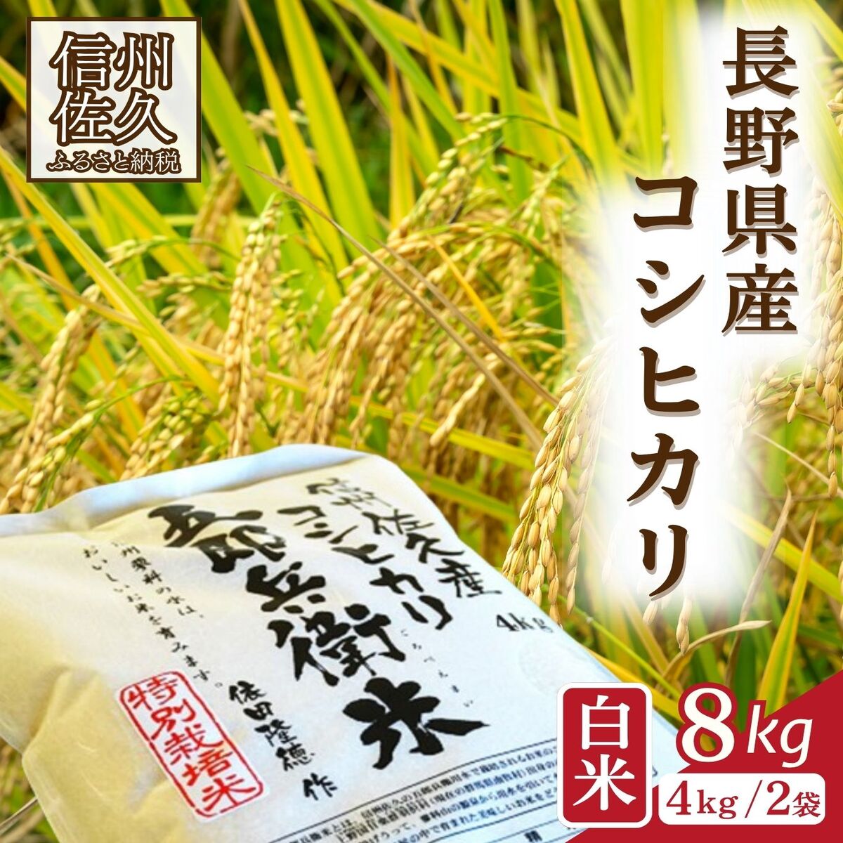 【ふるさと納税】【令和8年産・白米8kg（4kg×2袋）】 特別栽培米　五郎兵衛米 〈2026年10月中旬頃～順次発送〉 先行予約　新米　信州　こしひかり【 米 コメ 白米 精米 お米 こめ おこめ 予約 備蓄品 コシヒカリ 長野県 佐久市 】