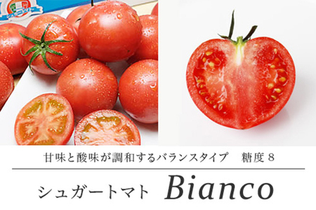【先行予約・2024年12月】シュガートマト ビアンコ08（糖度8度以上） 1kg 高糖度 フルーツトマト JA