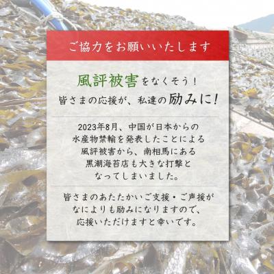 ふるさと納税 南相馬市 わさびのり 384枚 48袋(4袋×12個)|味付け海苔 大容量パック【53841-005-01】 |  | 03