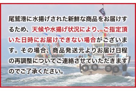  寿司ネタ用 刺身 スライスセット（到着日時指定必須商品）ブリトロ カンパチ 真鯛 生サーモン 詰合せ 真空パック 新鮮 寿司 鮨 手巻き寿司 便利　OB-5 