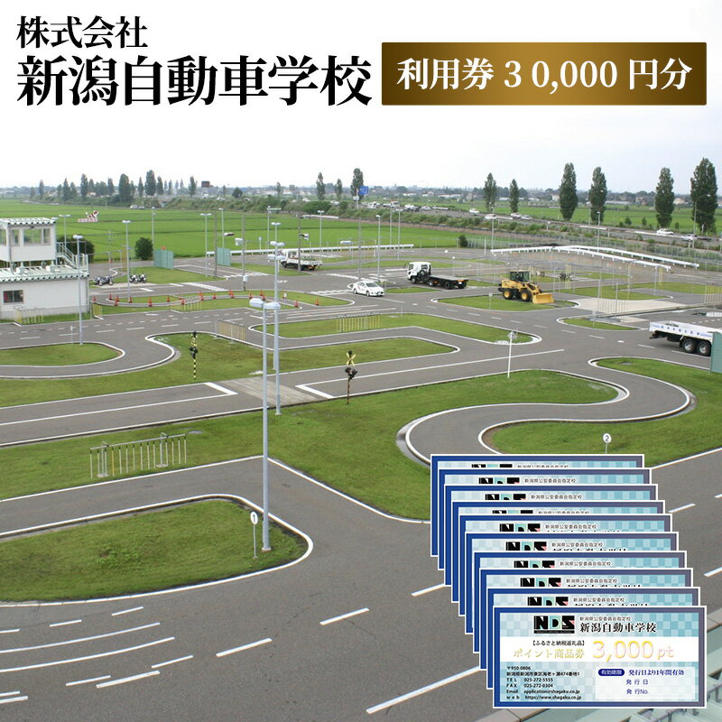 【ふるさと納税】株式会社　新潟自動車学校　利用券30,000 円分 チケット 体験チケット 免許 普通車 大型車 中型車 準中型車 二輪車 大特車 けん引免許