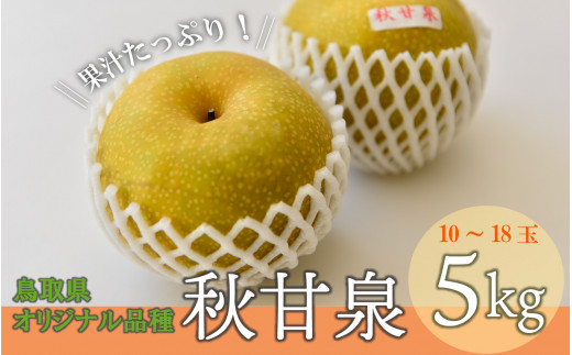 秋甘泉 （5kg）【倉吉産】 鳥取 梨 なし ナシ ブランド梨 あきかんせん 秋甘泉 果物 フルーツ 和梨 先行予約 数量限定 詰め合わせ 秋甘泉 甘い