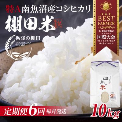 ふるさと納税 南魚沼市 【毎月定期便】【産地限定 棚田米】 新潟県 南魚沼 コシヒカリ 10kg 精米 日熊の米 棚田全6回
