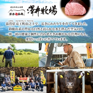 【 先行予約 】 近江牛 ヒレステーキ 2枚 計240g 柔らかい 甘み 肉質 ジューシー 霜降り ブランド 肉 にく 牛 牛肉 国産 松坂牛 神戸牛 に並ぶ ギフト 贈答 ご褒美 滋賀県 竜王町 澤